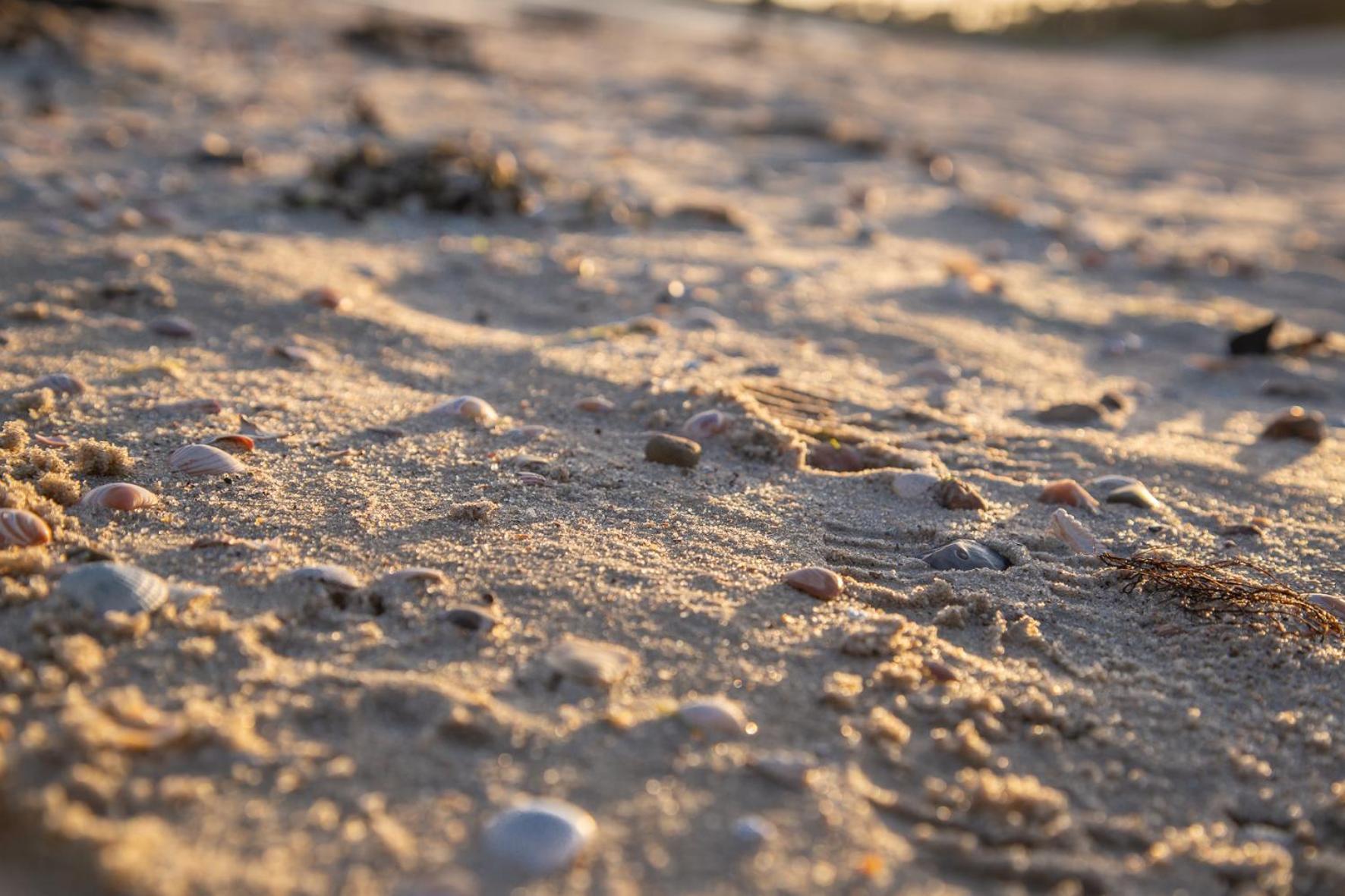 Wohnen Am Suedstrand - Ferienwohnung 0 3 Wyk auf Föhr Екстериор снимка